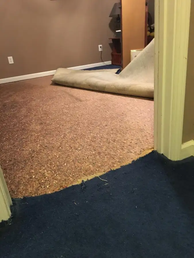 Carpet pad removal revealing water damage during Drying & Dehumidification in Mankato