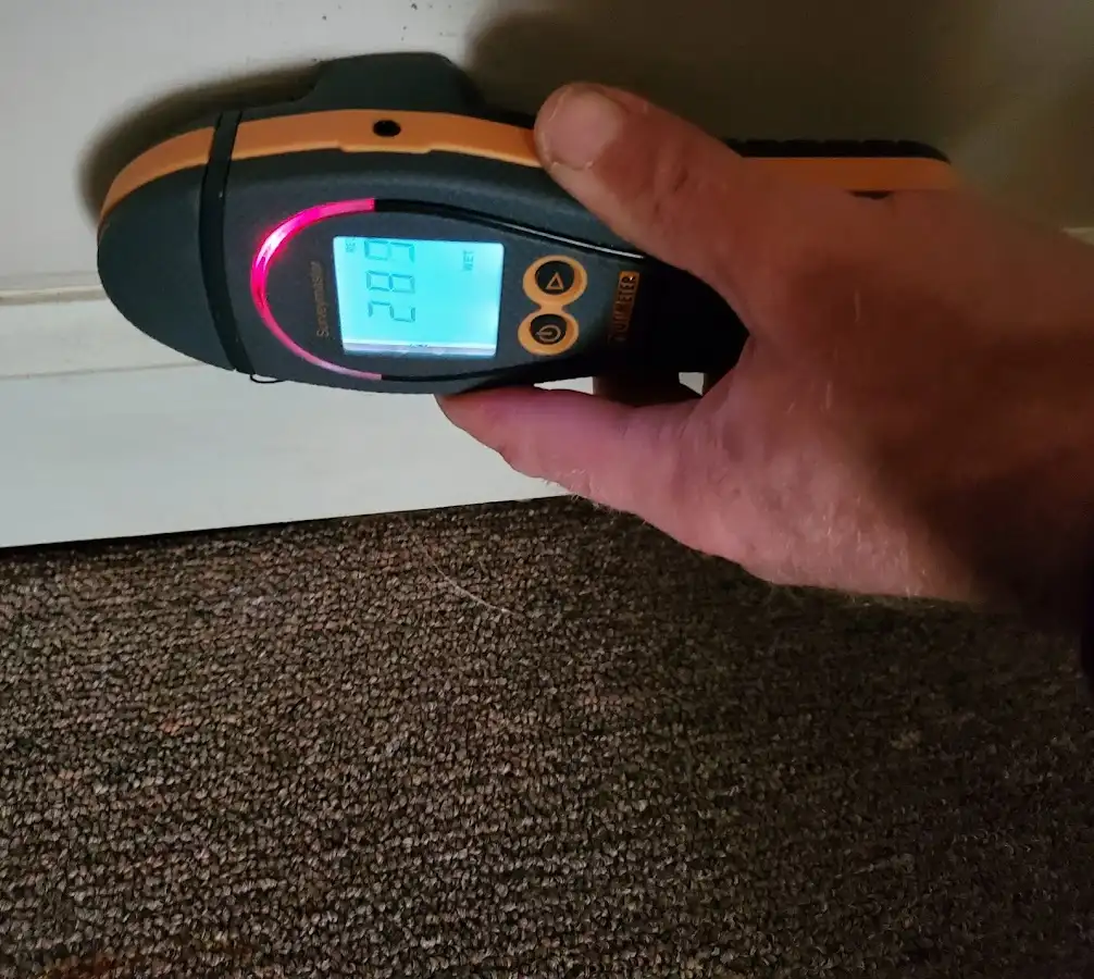 Moisture detection at baseboard during Mold Inspection & Testing in Mankato